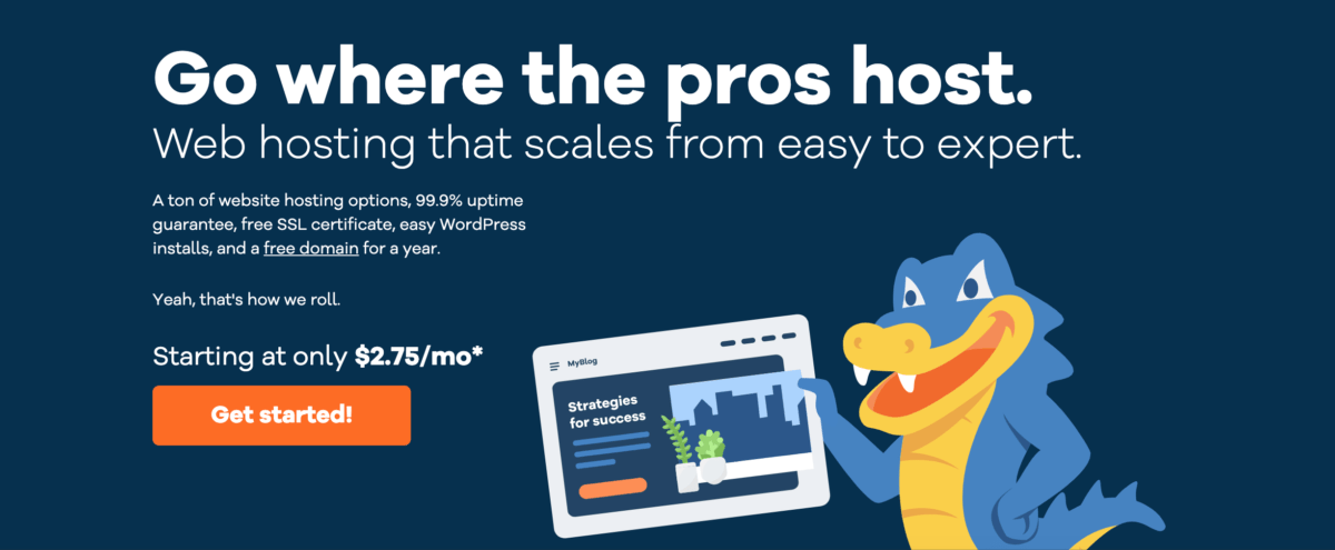 Purchasing Hosting For Your Blog Using Host Gator