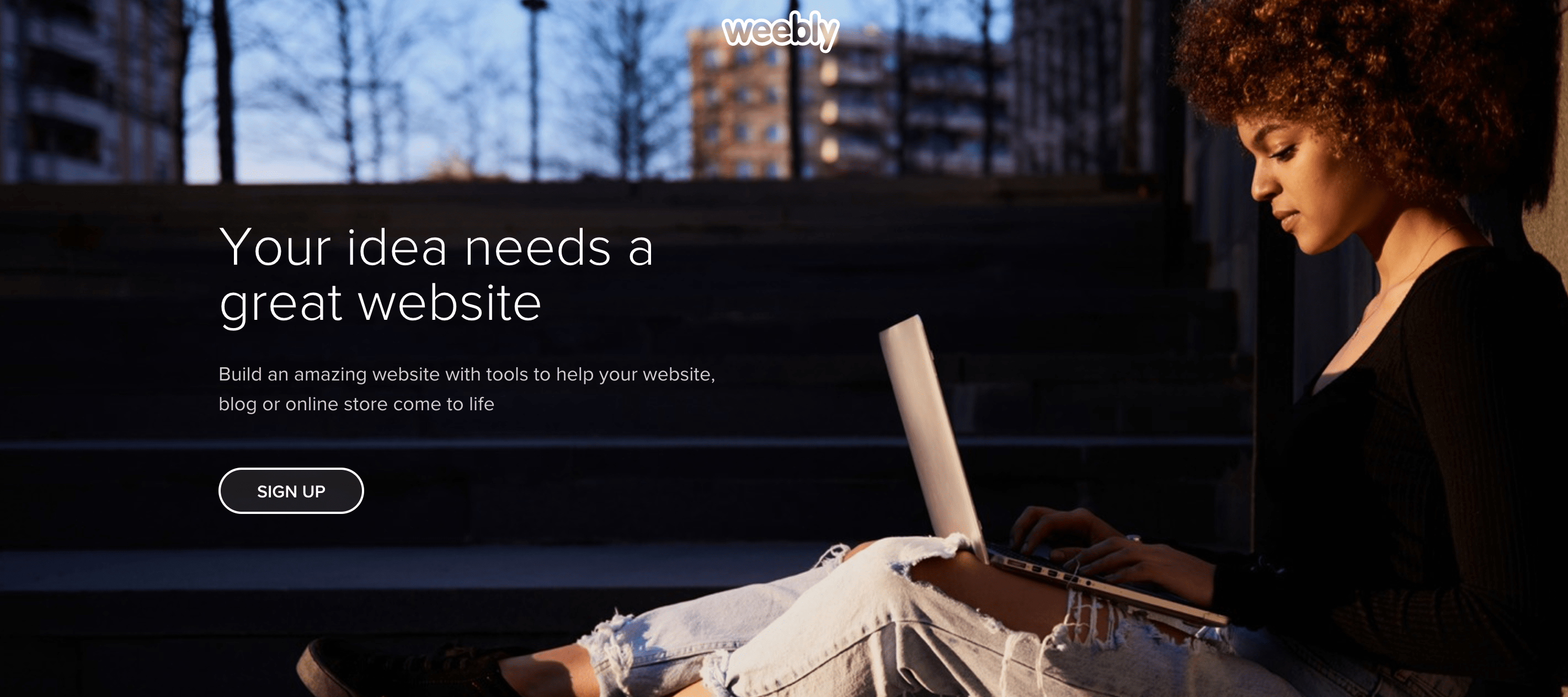 Facebook Ads Weebly Landing Page Example