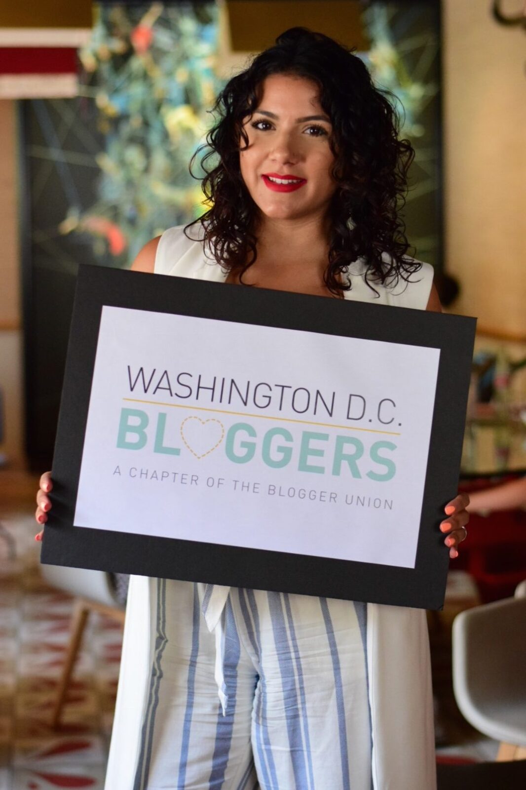 DC Bloggers June Meetup 2017.