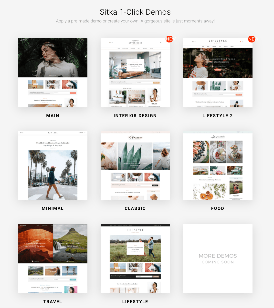 Best WordPress Theme for Bloggers