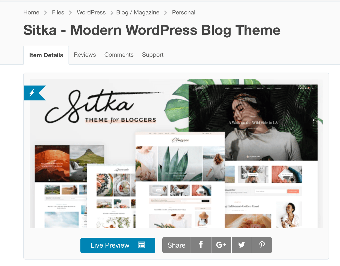 Best WordPress Theme For Bloggers
