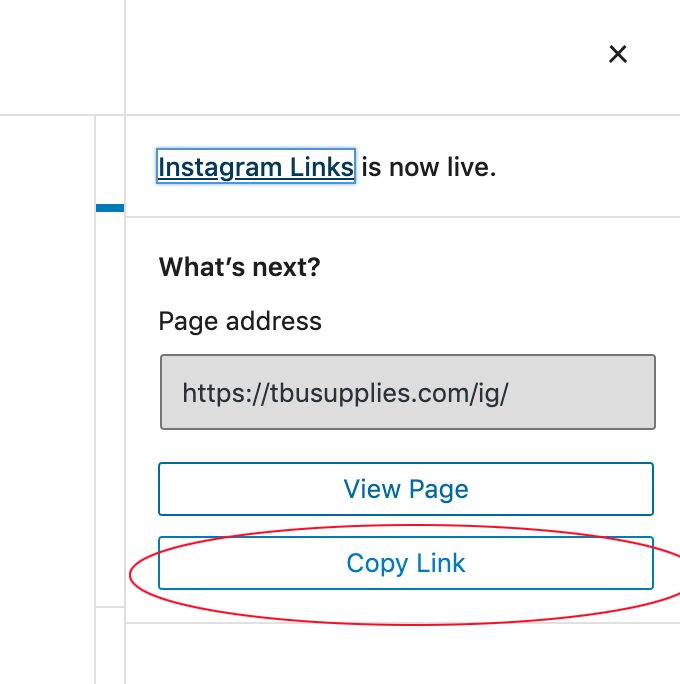 How to create a linktree with WordPress: copy page link to preview in new browser tab