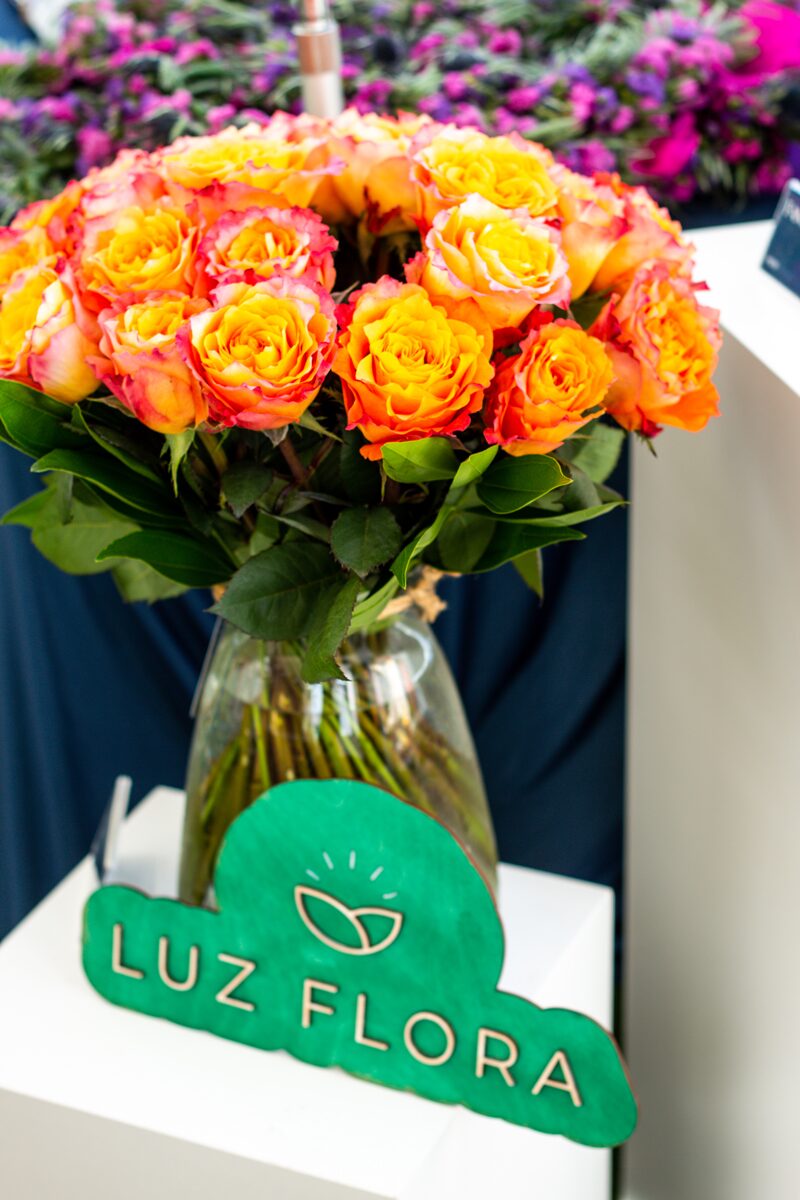 South Florida Bloggers March Meetup: Celebrating Women - Loving & Valuing Yourself